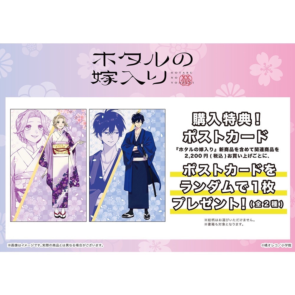 螢火蟲之婚 日本限定週邊-細節圖3