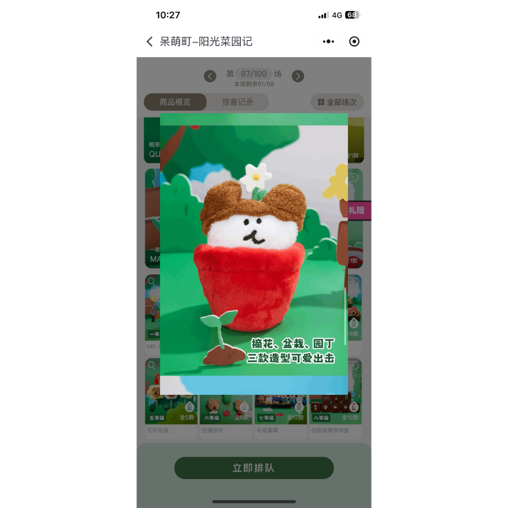 17cm盆栽
