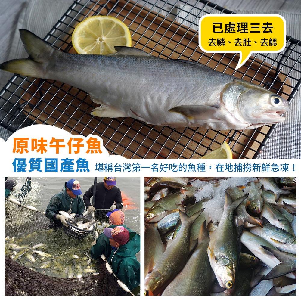 【新鮮市集】原味午仔魚(三去)(250-300g/尾) #去鱗去肚去鰓-細節圖2