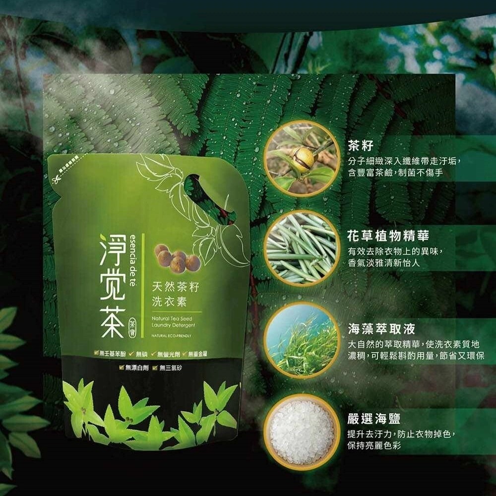 【茶寶】天然茶籽洗衣素(2.3kg/瓶)／袋裝補充包(1.8kg/袋)-細節圖3