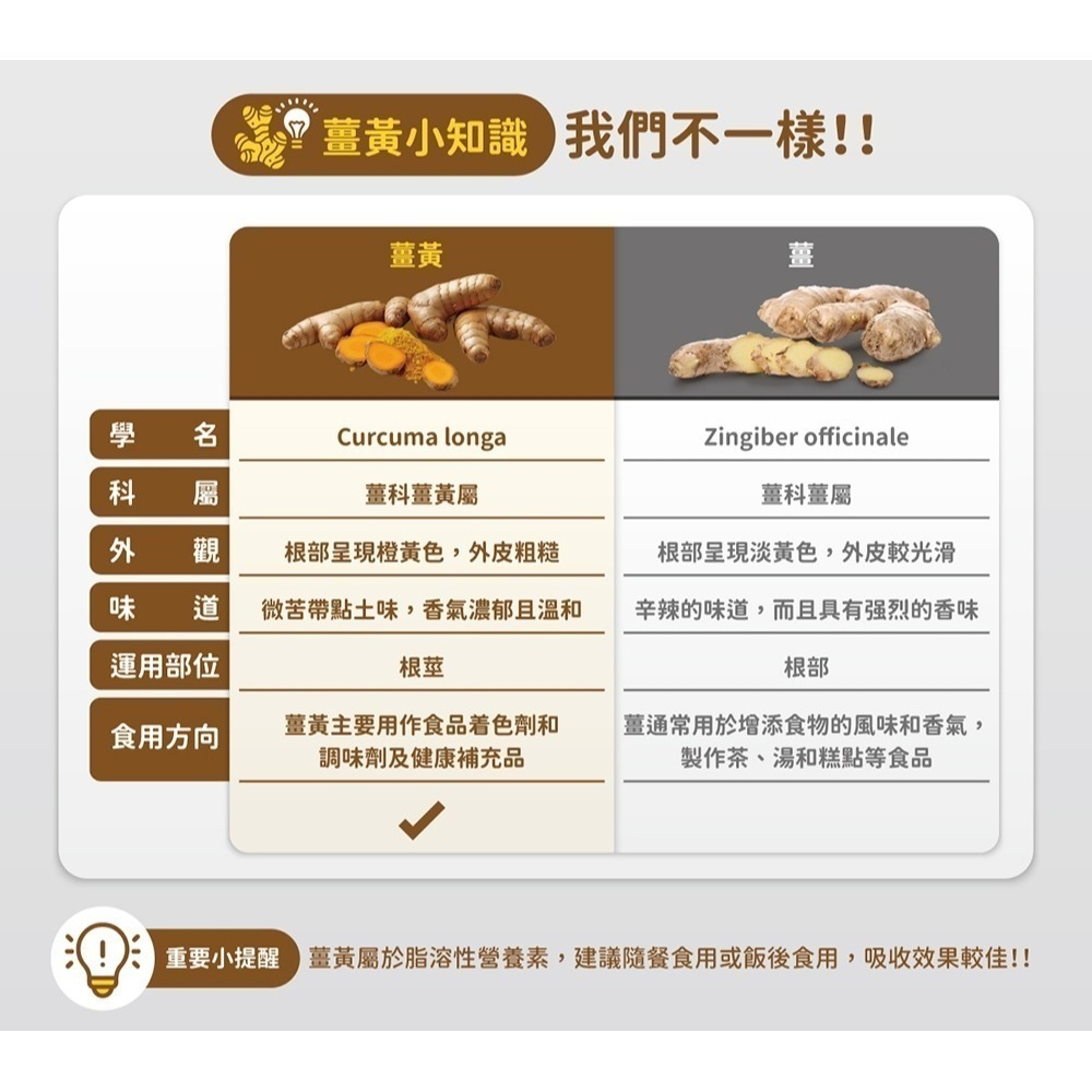 ⭐️85折優惠⭐️【優杏】薑黃粉Plus胡椒鹼(250g/瓶) #全素-細節圖3