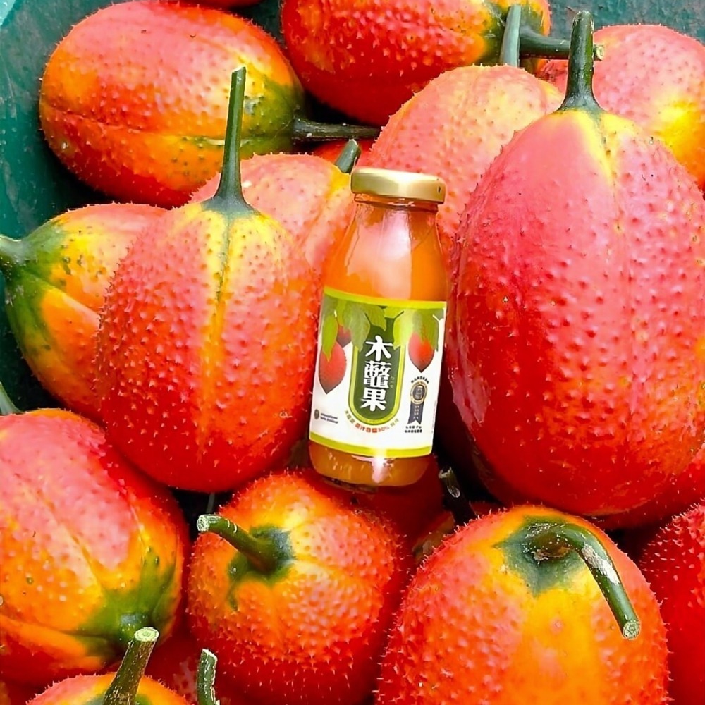 ✨禮盒組✨【聖果蜜多】木虌果飲(200ml*8瓶/盒) #木鱉果 #木虌果檸檬飲-細節圖2