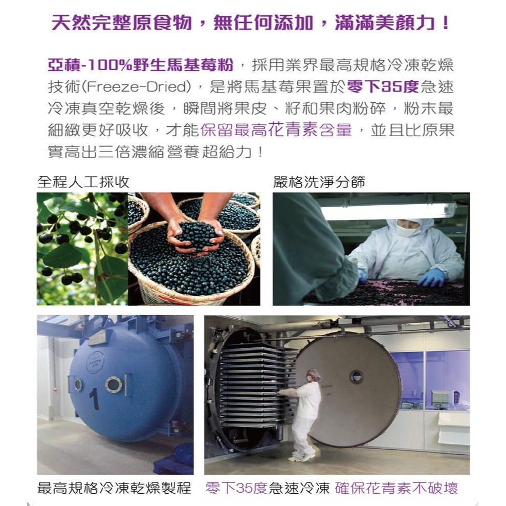【亞積生技】美之立-100%野生馬基莓粉(頂級智利酒果) #花青素-細節圖5
