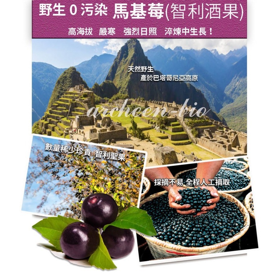 【亞積生技】美之立-100%野生馬基莓粉(頂級智利酒果) #花青素-細節圖6