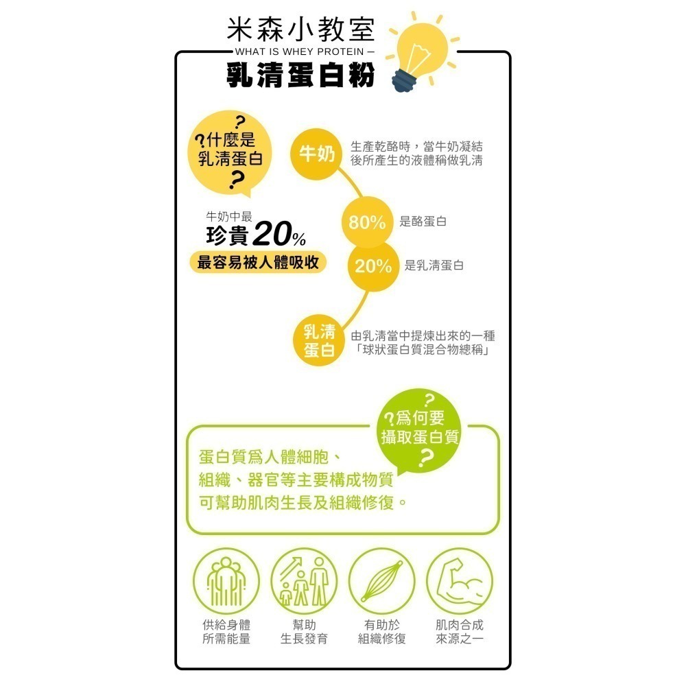 【米森vilson】無調味分離乳清蛋白粉(500g/罐)－原味(銀標)／紅茶／可可／抹茶／咖啡／紫心地瓜／藍莓莓果-細節圖3