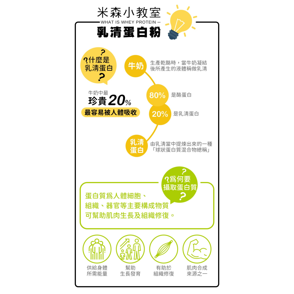 ★88促銷★【米森vilson】無調味分離乳清蛋白粉(500g/罐)－原味／紅茶／可可／藍莓 #乳清蛋白-細節圖2