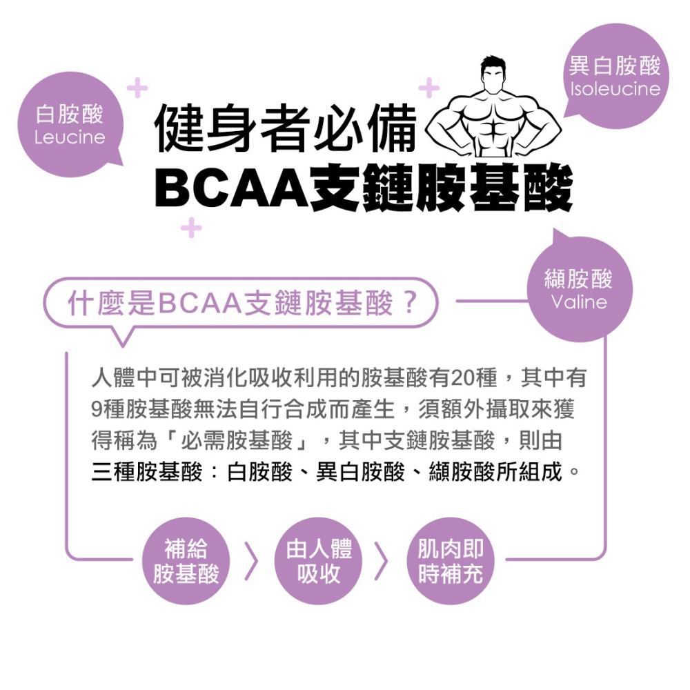 ★88促銷★【米森vilson】無調味分離乳清蛋白粉(500g/罐)－原味／紅茶／可可／藍莓 #乳清蛋白-細節圖3