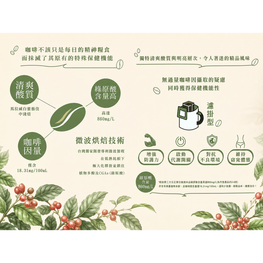 【野菜村】馬拉威白蜜藝伎濾掛咖啡(10公克x10包)／效期208.02.03 #Geisha瑰夏咖啡-細節圖3