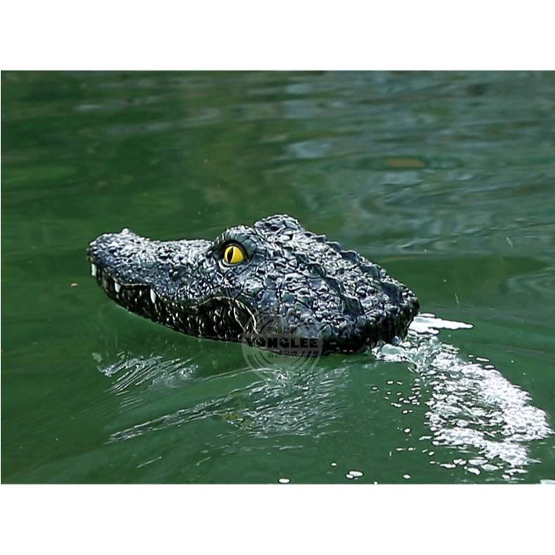 2.4G遙控鱷魚船-細節圖6