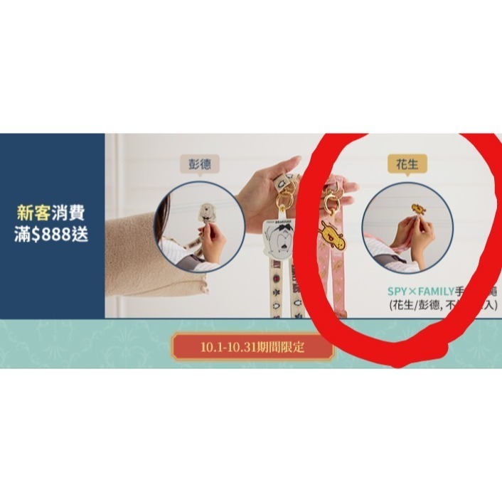 Innisfree新客首購禮 SPYxFAMILY 手機吊繩-花生款 間諜家家酒-細節圖2