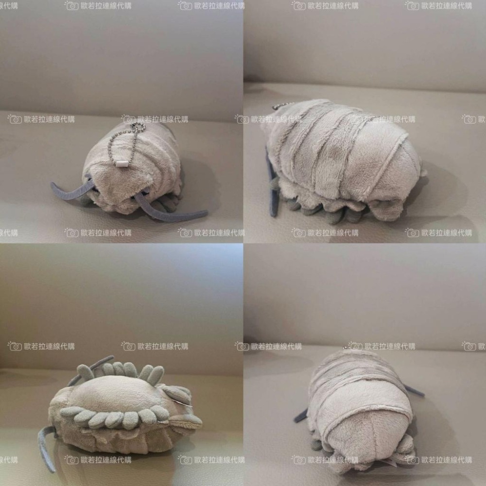 迷你版 仿真可愛 大王具足蟲布偶 洋娃娃-細節圖3
