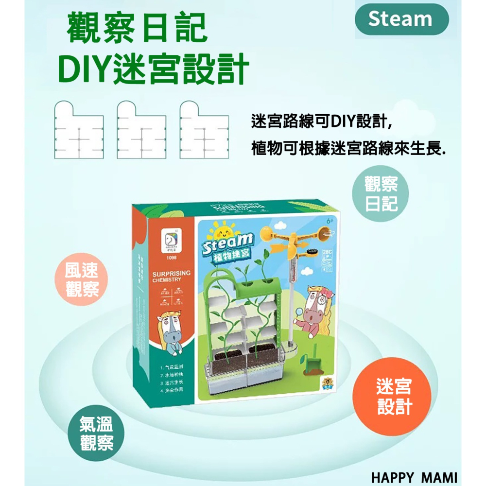 科學教育植物迷宮種植教育/種植實驗/科學氣象監測紀錄/水培生長過程/大自然生態教育/教科實驗/科學教具/教科系列-細節圖4