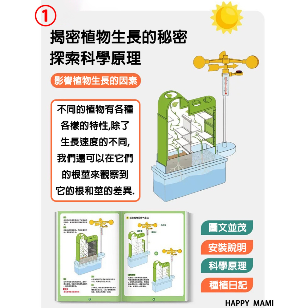 科學教育植物迷宮種植教育/種植實驗/科學氣象監測紀錄/水培生長過程/大自然生態教育/教科實驗/科學教具/教科系列-細節圖6