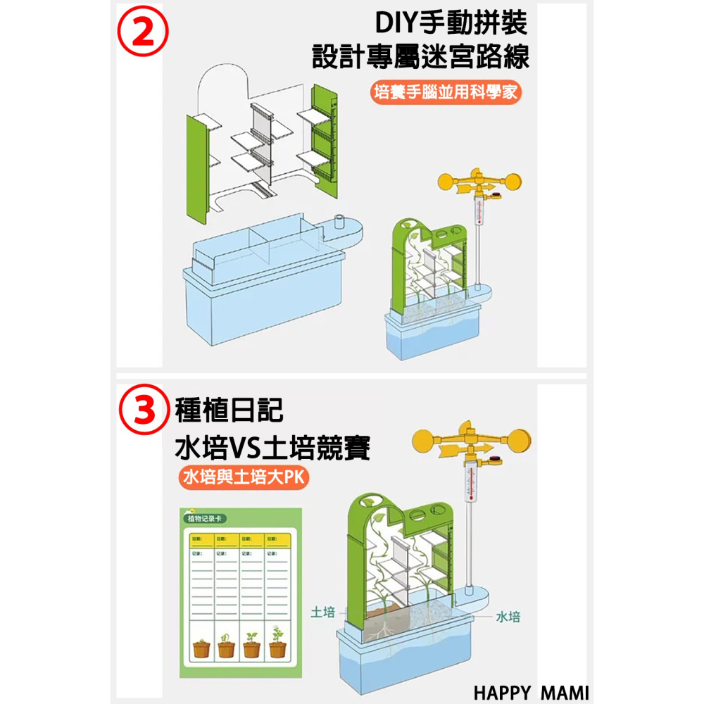 科學教育植物迷宮種植教育/種植實驗/科學氣象監測紀錄/水培生長過程/大自然生態教育/教科實驗/科學教具/教科系列-細節圖7