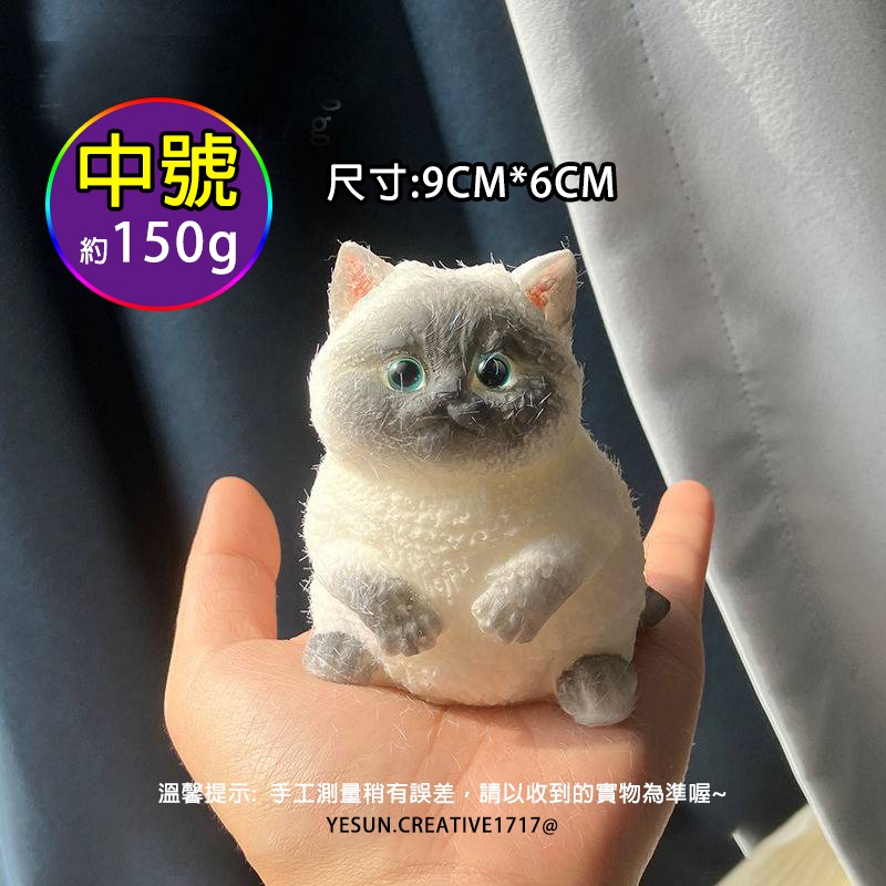 (中號/星邏貓)手作可愛貓咪捏捏