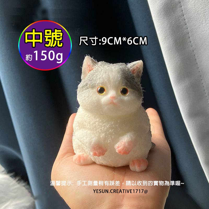 (中號/賓士貓)手作可愛貓咪捏捏