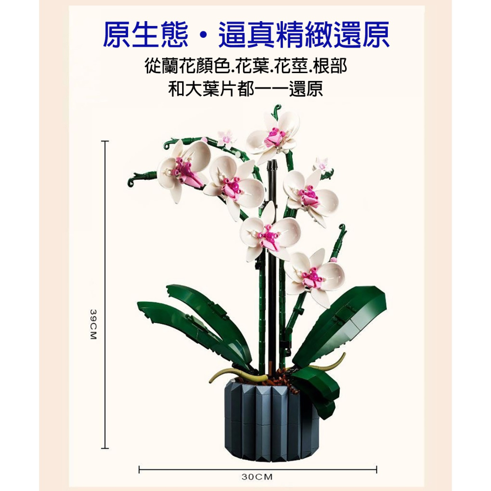 優雅的積木蝴蝶蘭/蝴蝶蘭花束/積木花束/可與樂高相容/朋友情人節禮物/教師節花束/生日禮物/幸福花束/祝福花束/蘭花-細節圖2
