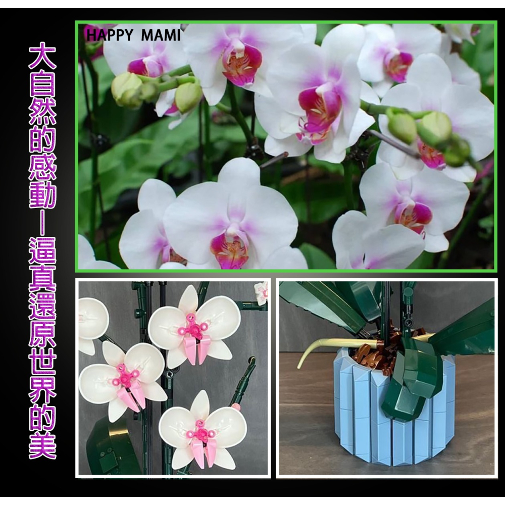優雅的積木蝴蝶蘭/蝴蝶蘭花束/積木花束/可與樂高相容/朋友情人節禮物/教師節花束/生日禮物/幸福花束/祝福花束/蘭花-細節圖5
