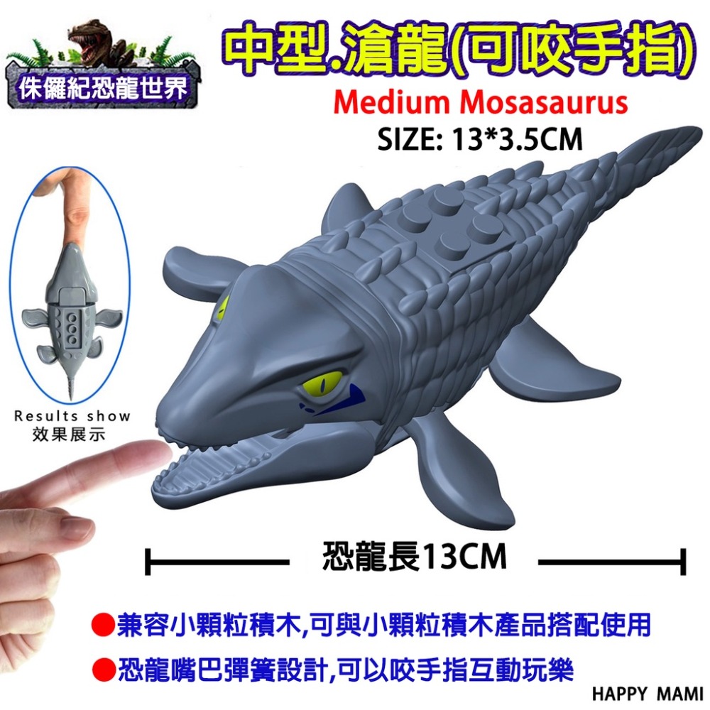 中型.滄龍一隻(可咬手指)