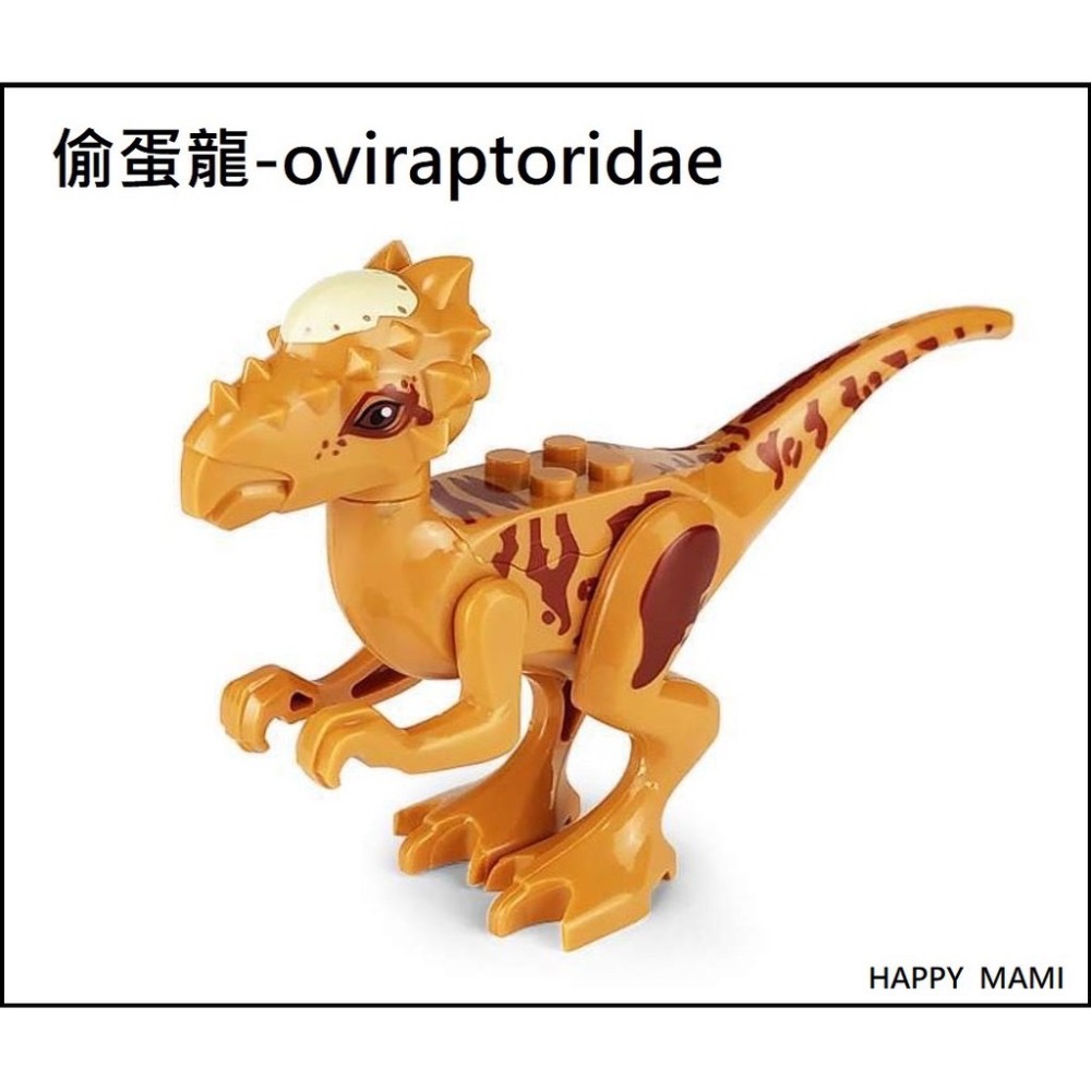 中型.偷蛋龍一隻