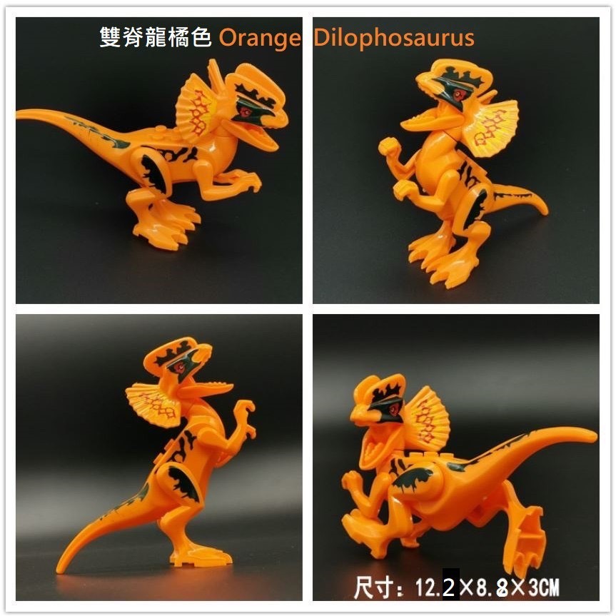 中型.橘雙脊龍一隻