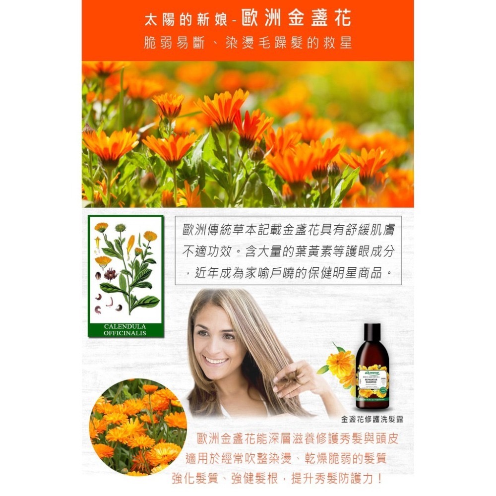德國alkmene歐珂蔓洗髮露-細節圖6