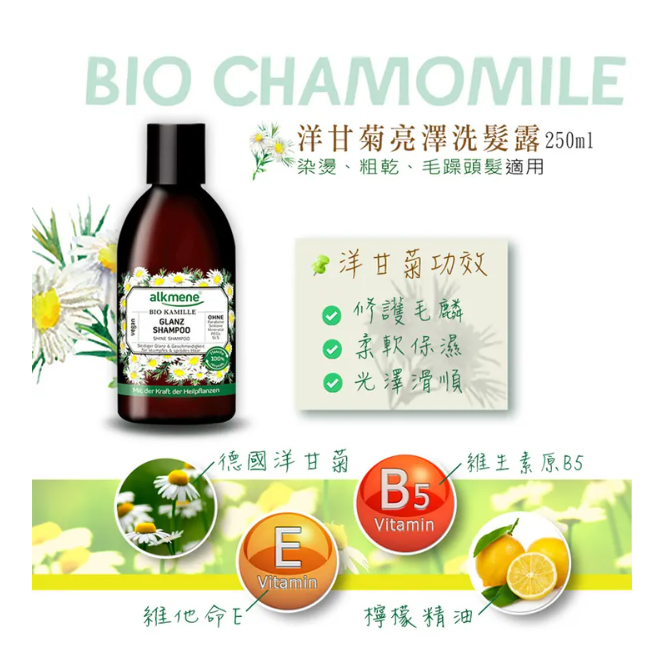 洋甘菊