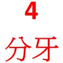 4分牙