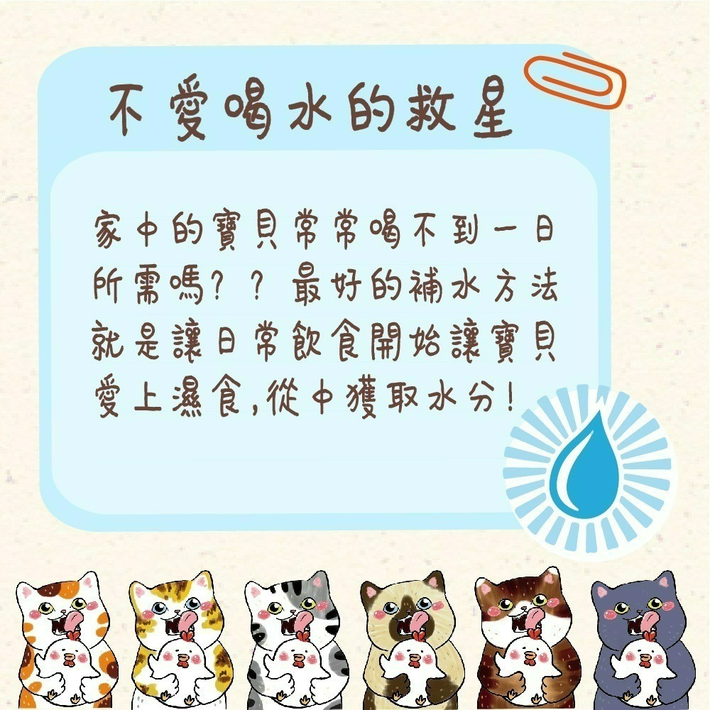 【喵玩國】vosto 鮮雞肉罐 80g 補水罐 貓罐頭 副食罐 雞肉底 貓食 貓食品 寵物罐頭 鮮肉罐 貓餐盒-細節圖4