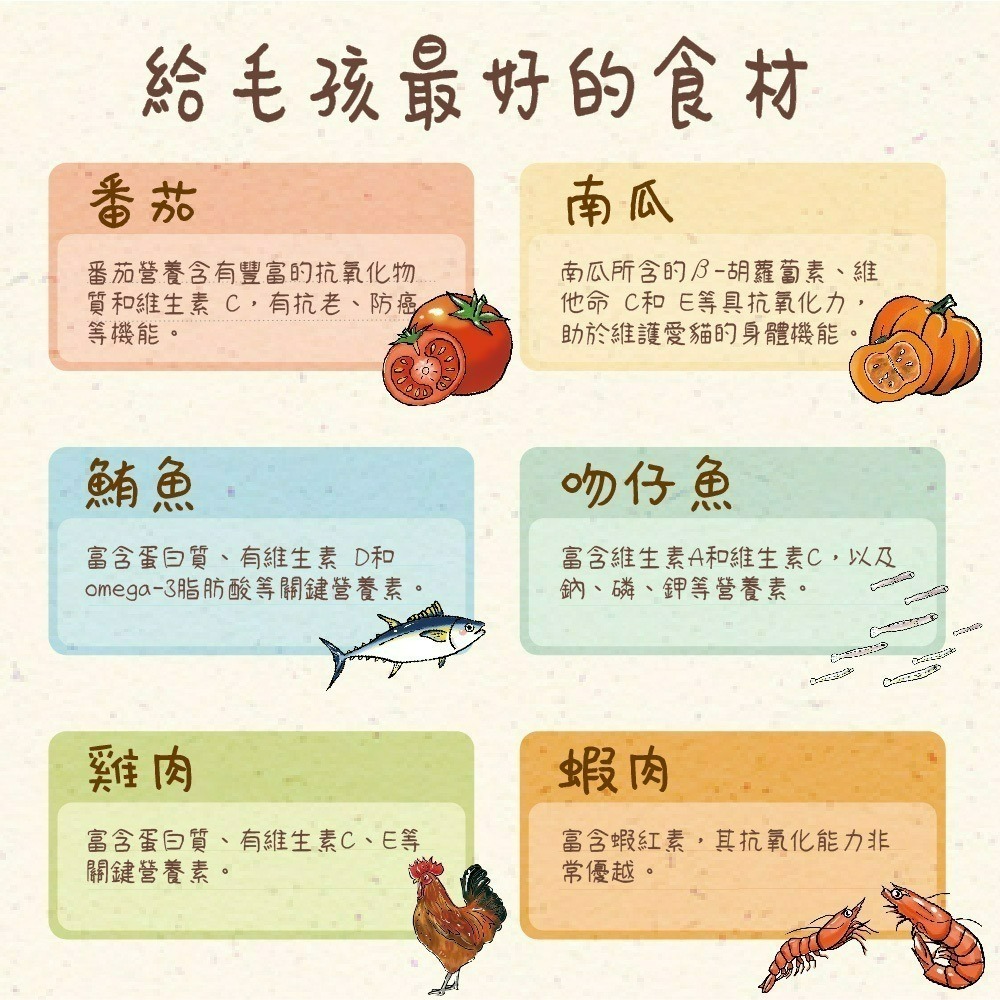 【喵玩國】vosto 鮮雞肉罐 80g 補水罐 貓罐頭 副食罐 雞肉底 貓食 貓食品 寵物罐頭 鮮肉罐 貓餐盒-細節圖5