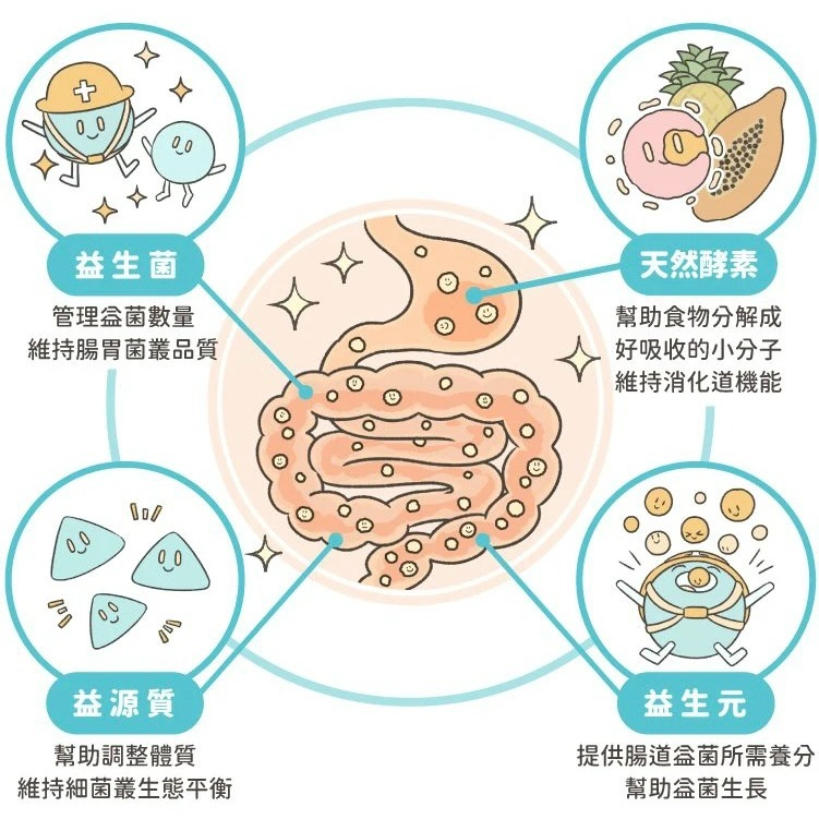 【喵玩國】汪喵星球 汪喵益生菌 單包體驗包 犬貓適用 寵物益生菌 乳酸菌-細節圖5