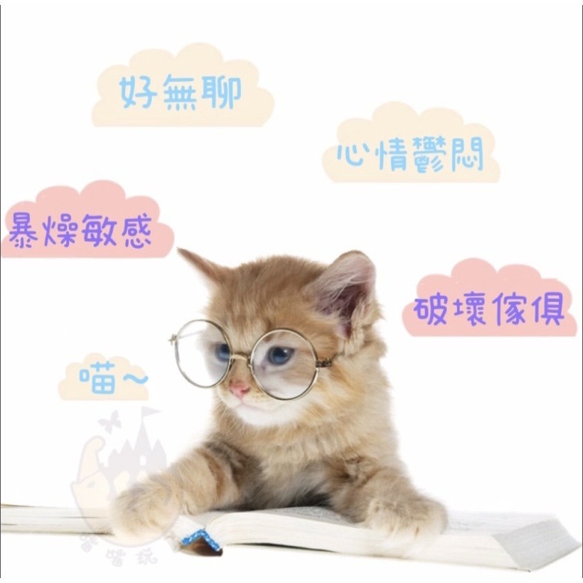 【喵玩國】羽毛款/老鼠款不倒翁球 貓玩具 逗貓玩具 不倒翁 羽毛-細節圖2