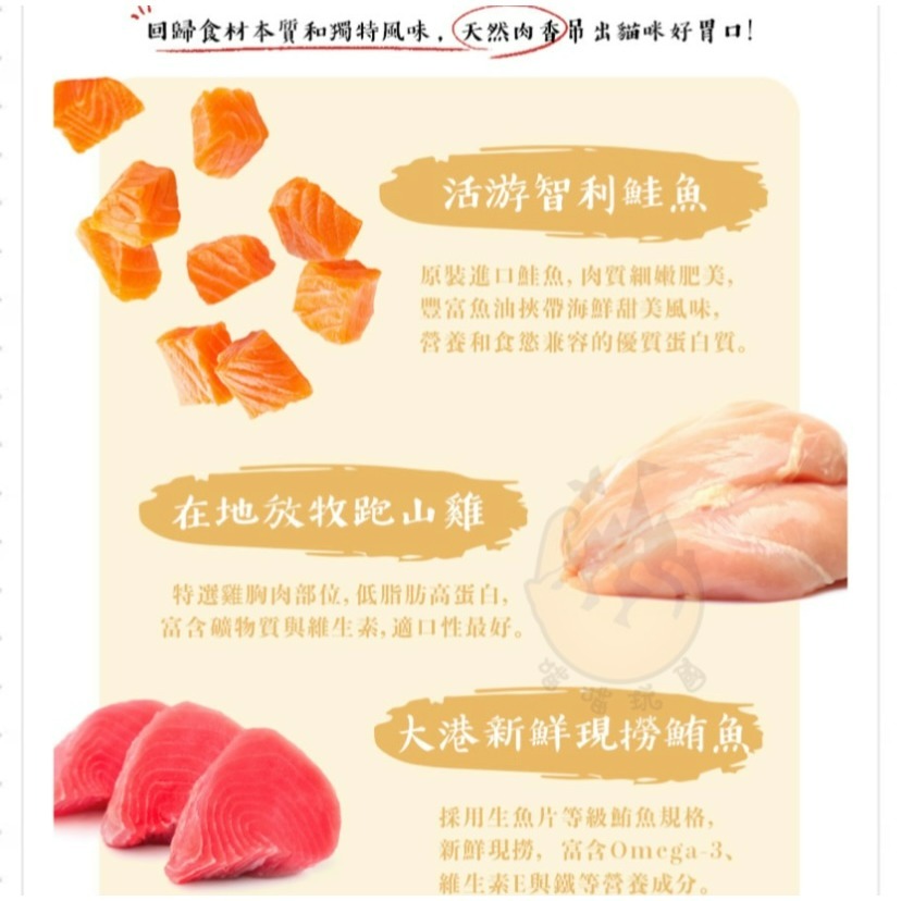 【喵玩國】 ParkCat 貓樂園 無敵罐 超綿肉泥罐 無敵貓糧 主食罐 肉泥罐  貓罐頭 挑嘴罐 貓主食罐-細節圖6