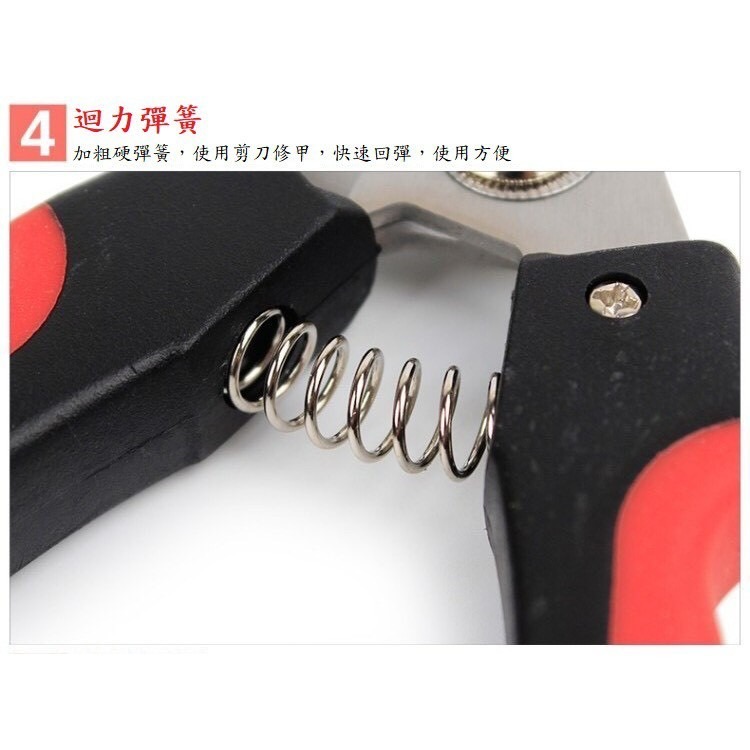 【喵玩國】寵物指甲剪 安全刀頭 防滑設計 寵物指甲刀 貓指甲剪 貓指甲刀-細節圖5