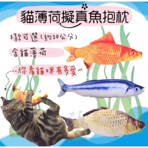 【喵玩國】貓草魚 擬真魚 薄荷魚 貓抱枕 逗貓 貓咪玩具 貓玩具 貓薄荷 仿真魚
