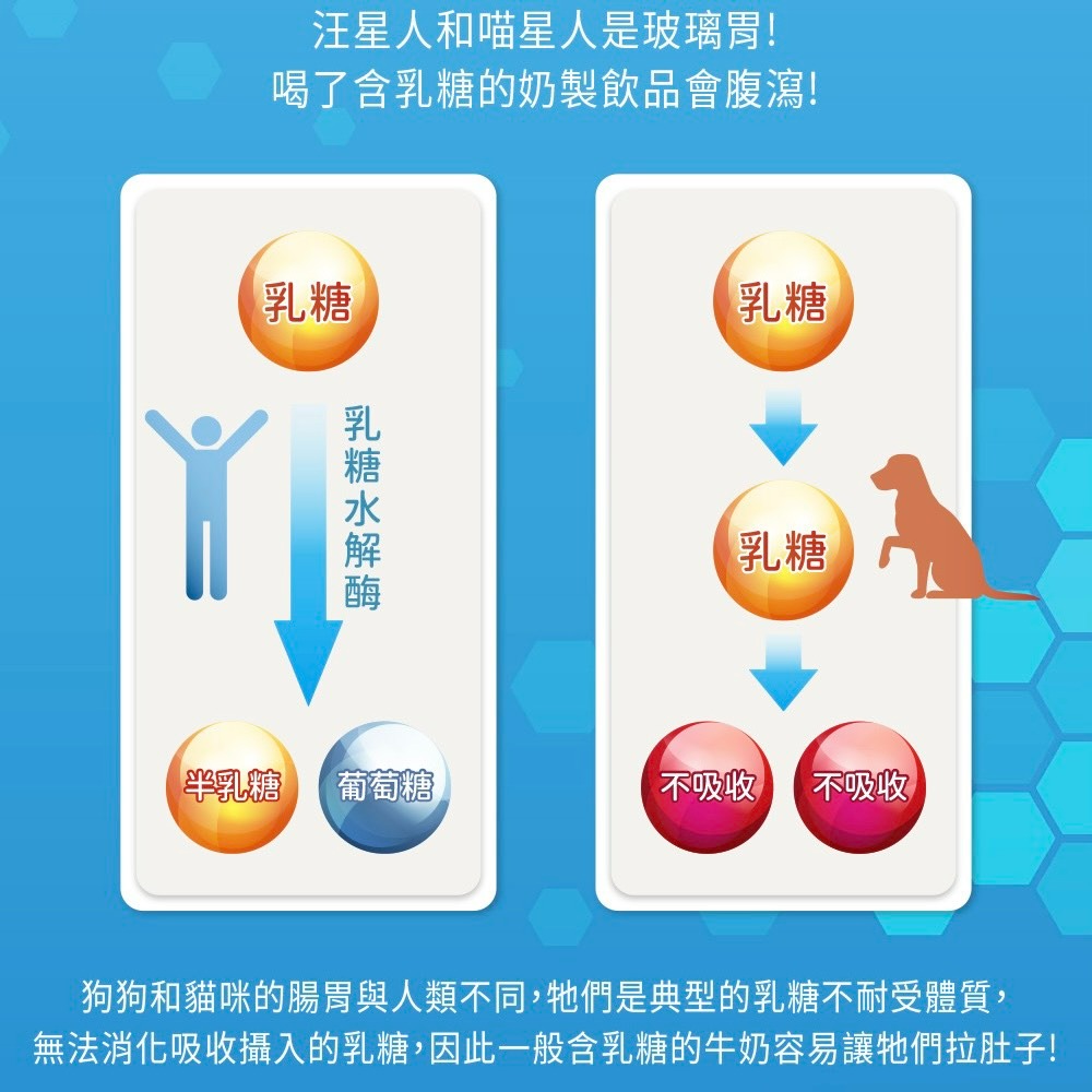 【喵玩國】ZEAL真致 紐西蘭 犬貓專用鮮乳 寵物牛奶 貓牛奶 貓專用奶水 貓奶水-細節圖4