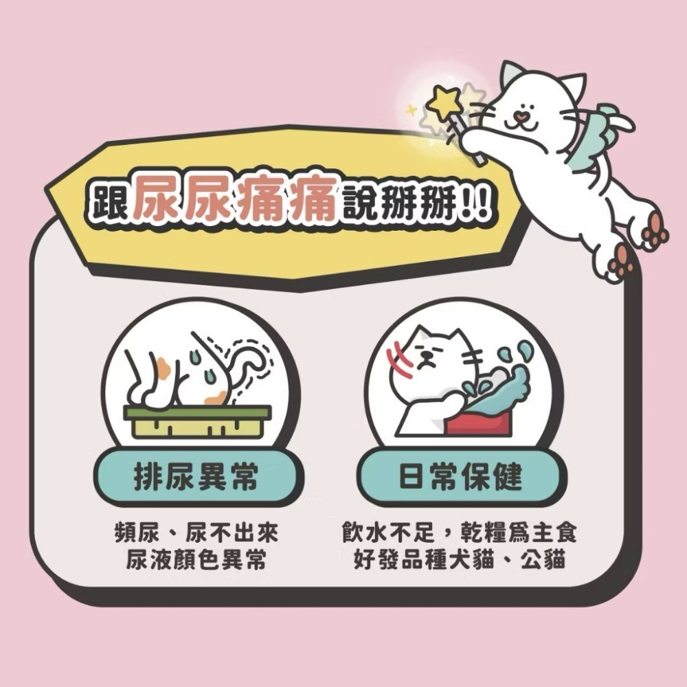 【喵玩國】陪心寵糧 機能保養 鱉蛋粉 排毛粉 貓三寶 免疫力 腸道保健 關節保健 牙齦保健 皮毛保健 益生菌 貓保健品-細節圖9