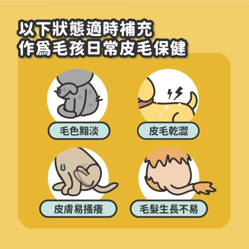 【喵玩國】陪心寵糧 機能保養 鱉蛋粉 排毛粉 貓三寶 免疫力 腸道保健 關節保健 牙齦保健 皮毛保健 益生菌 貓保健品-細節圖10
