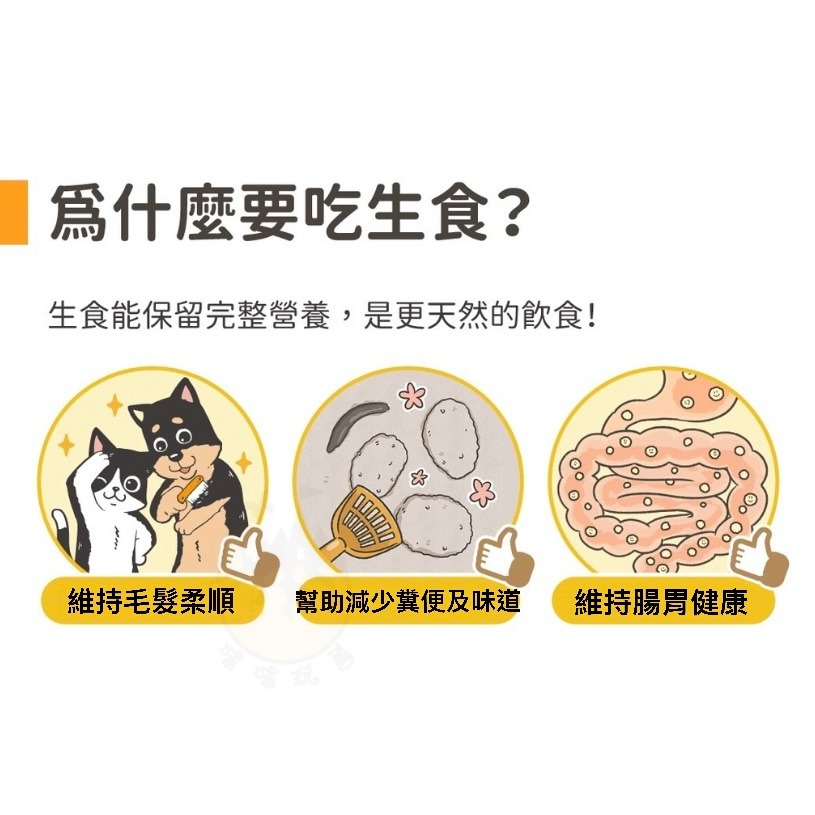 【喵玩國】汪喵星球 寵物凍乾主食 貓咪 汪喵 冷凍乾燥生食餐 80g 貓飼料-細節圖5