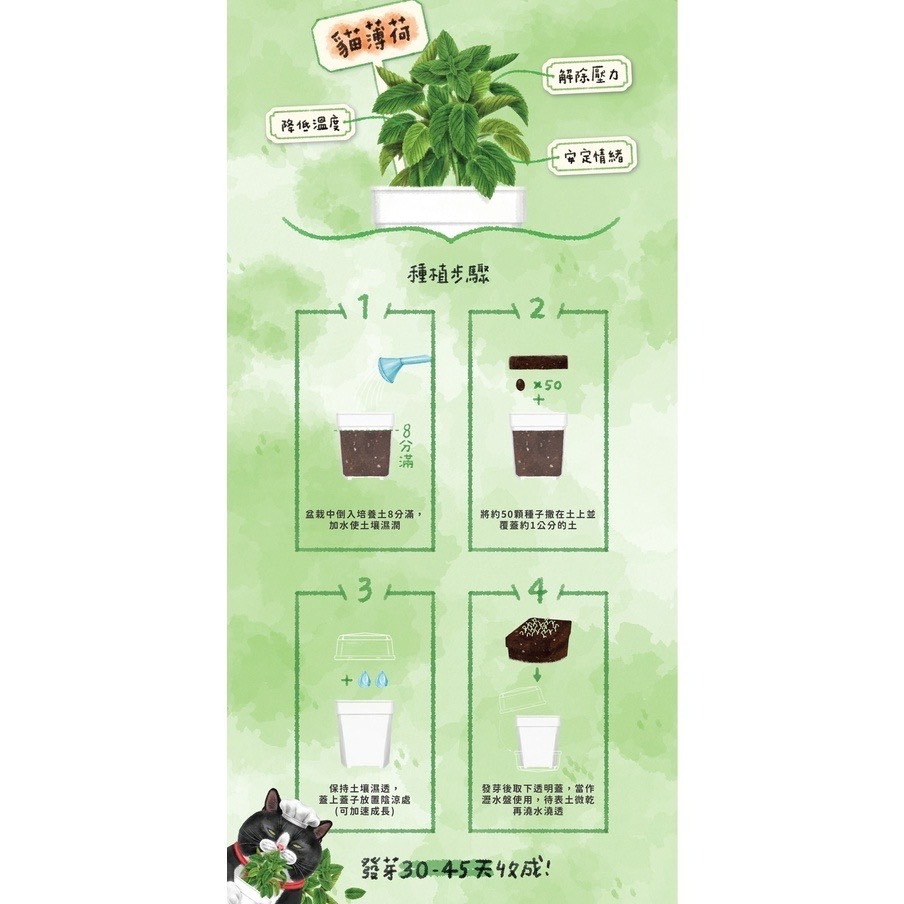 【喵玩國】 Eat＇s 易特廚 小麥草+貓薄荷雙拼組-細節圖4