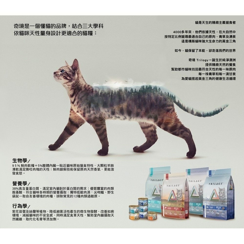 【喵玩國】奇境 無穀全貓糧 羊肺凍乾 300g 無穀貓飼料 凍乾貓飼料 全齡貓飼料 貓飼料 貓糧-細節圖2