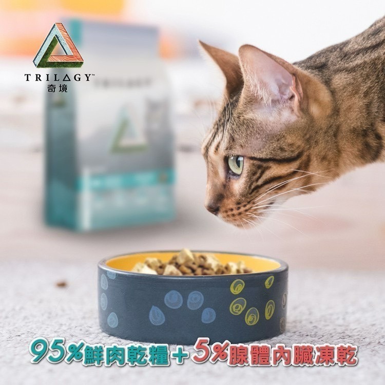 【喵玩國】奇境 無穀全貓糧 羊肺凍乾 300g 無穀貓飼料 凍乾貓飼料 全齡貓飼料 貓飼料 貓糧-細節圖3