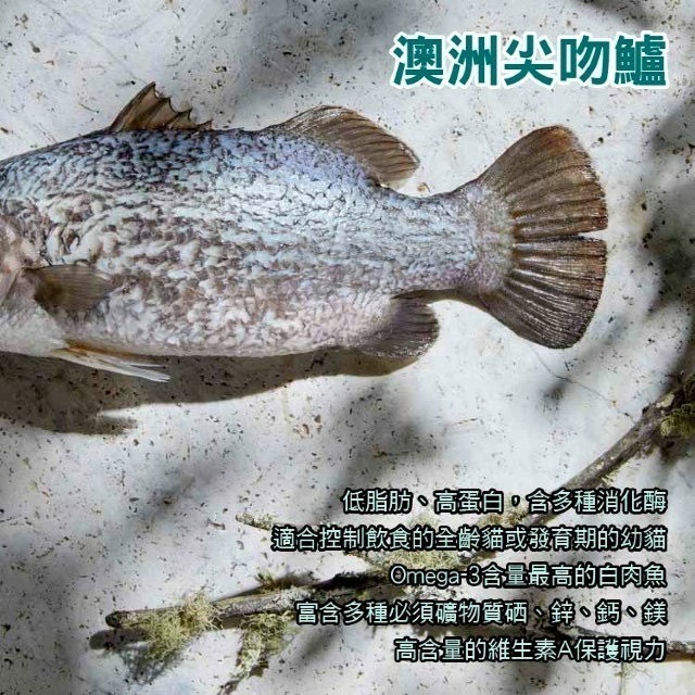 【喵玩國】奇境 無穀全貓糧 羊肺凍乾 300g 無穀貓飼料 凍乾貓飼料 全齡貓飼料 貓飼料 貓糧-細節圖5