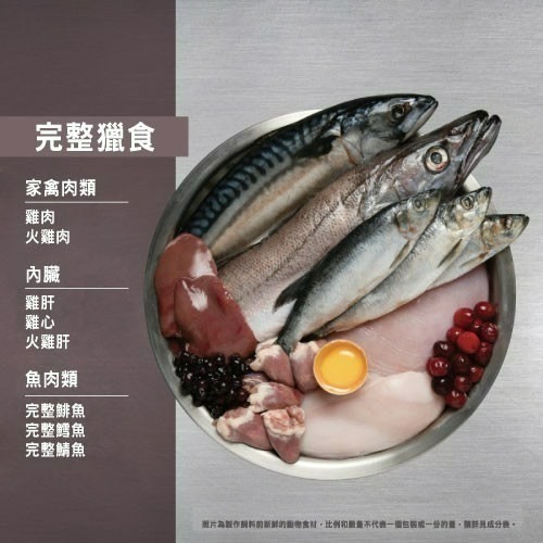 【喵玩國】Orijen 歐睿健 貓無穀貓糧/貓飼料 幼貓/成貓/老貓/全齡貓//野牧鮮雞/鮮雞愛貓/六種魚/室內貓-細節圖3