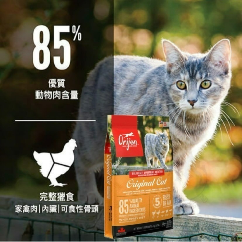 【喵玩國】Orijen 歐睿健 貓無穀貓糧/貓飼料 幼貓/成貓/老貓/全齡貓//野牧鮮雞/鮮雞愛貓/六種魚/室內貓-細節圖4