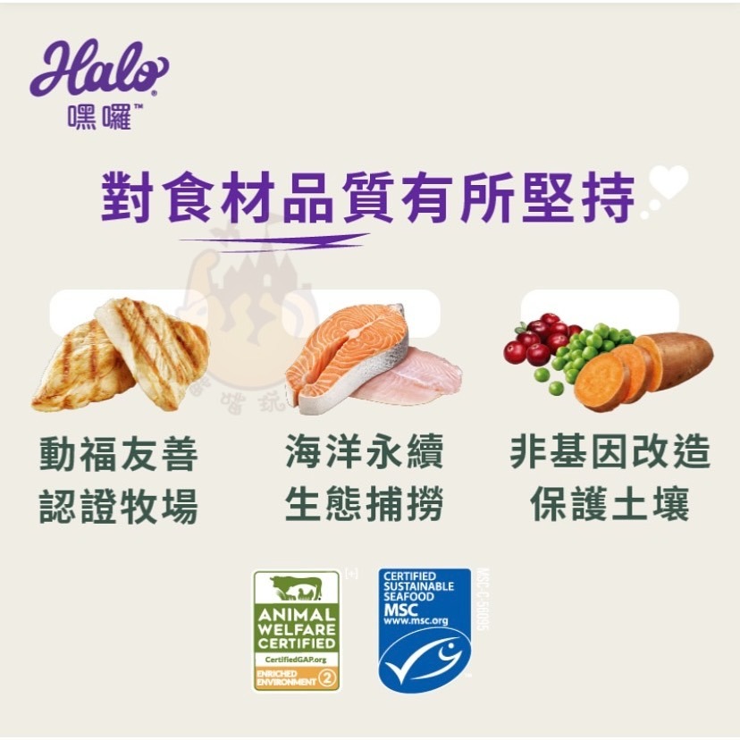 【喵玩國】Halo嘿囉無穀貓飼料 不含肉粉/好消化 幼貓/成貓 WDJ推薦 全系列 成貓/幼貓-細節圖2