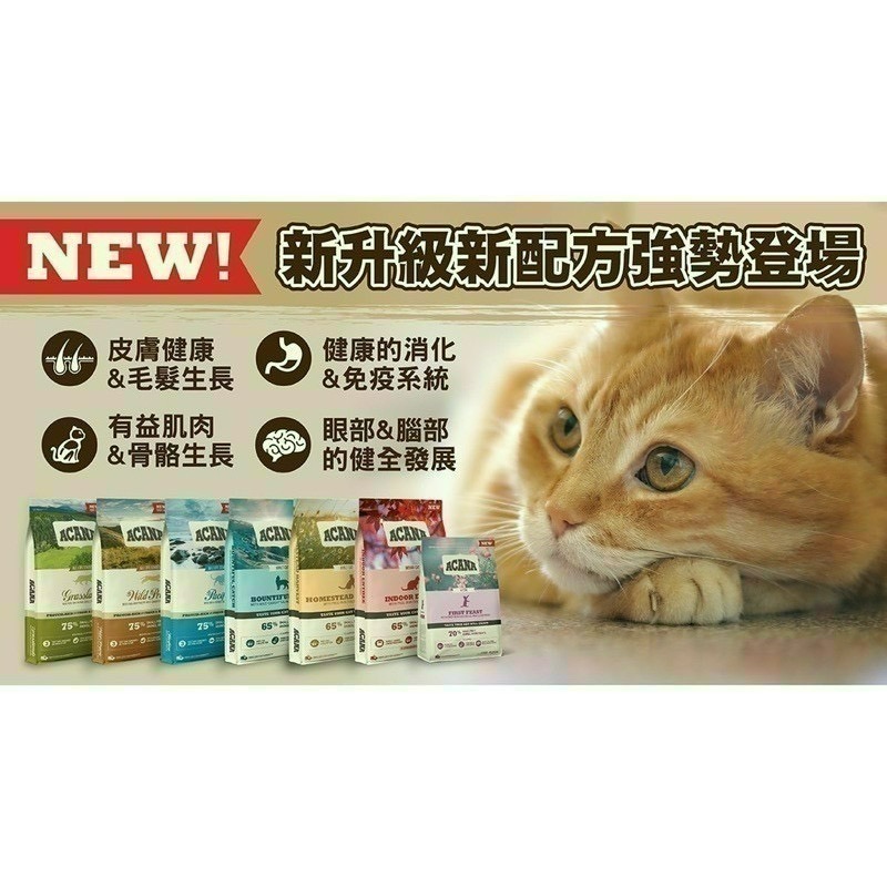 【喵玩國】現貨 ACANA愛肯拿 無穀貓糧  1.8KG / 4.5KG 公司原裝 無穀糧 貓糧 貓飼料-細節圖3