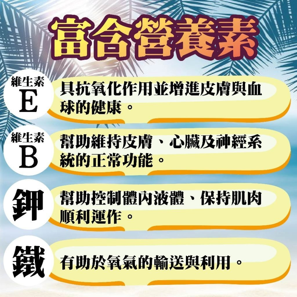 【喵玩國】vosto 鮪魚條 30g 貓零食 貓點心 貓肉條 魚柳條 貓魚條 鮪魚-細節圖4