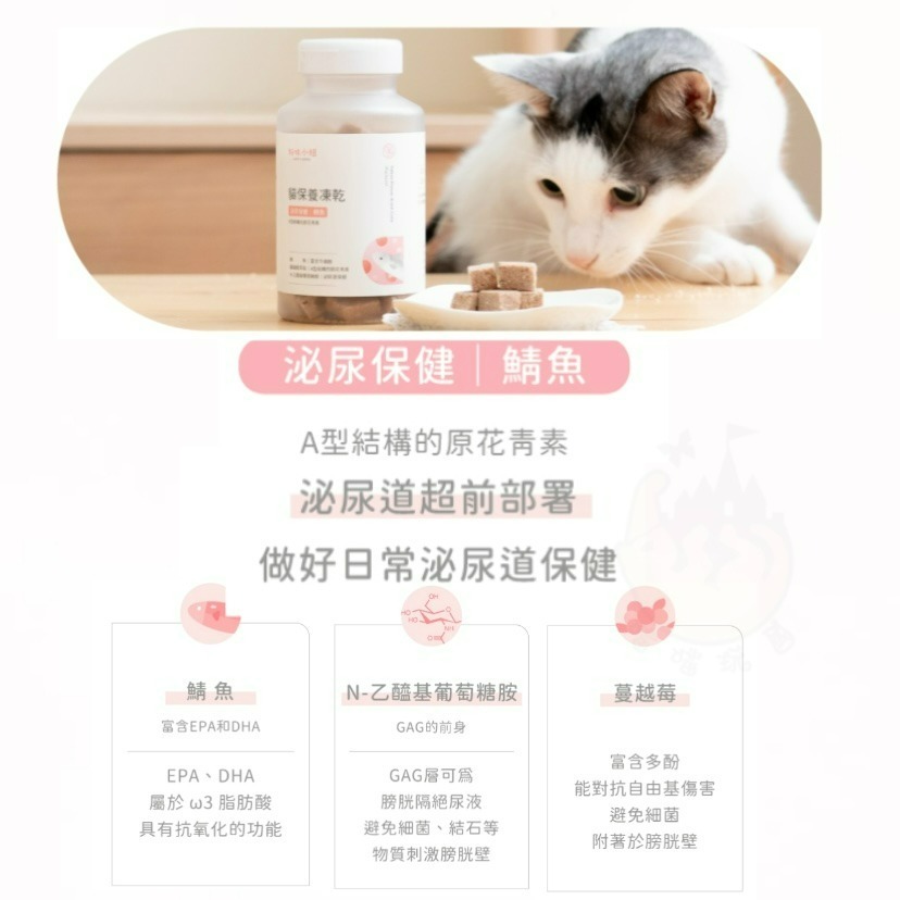【喵玩國】好味小姐 貓保養凍乾 55g 幫助排毛 情緒紓緩 泌尿保健 貓凍乾 貓零食 好味小姐零食-細節圖8