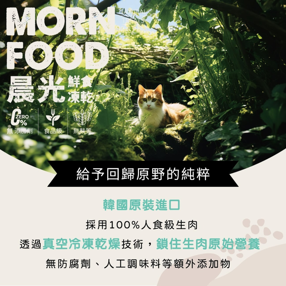 【喵玩國】MORN FOOD 晨光 鮮食凍乾 罐裝凍乾 貓凍乾 凍乾零食 貓點心 貓咪凍乾-細節圖5